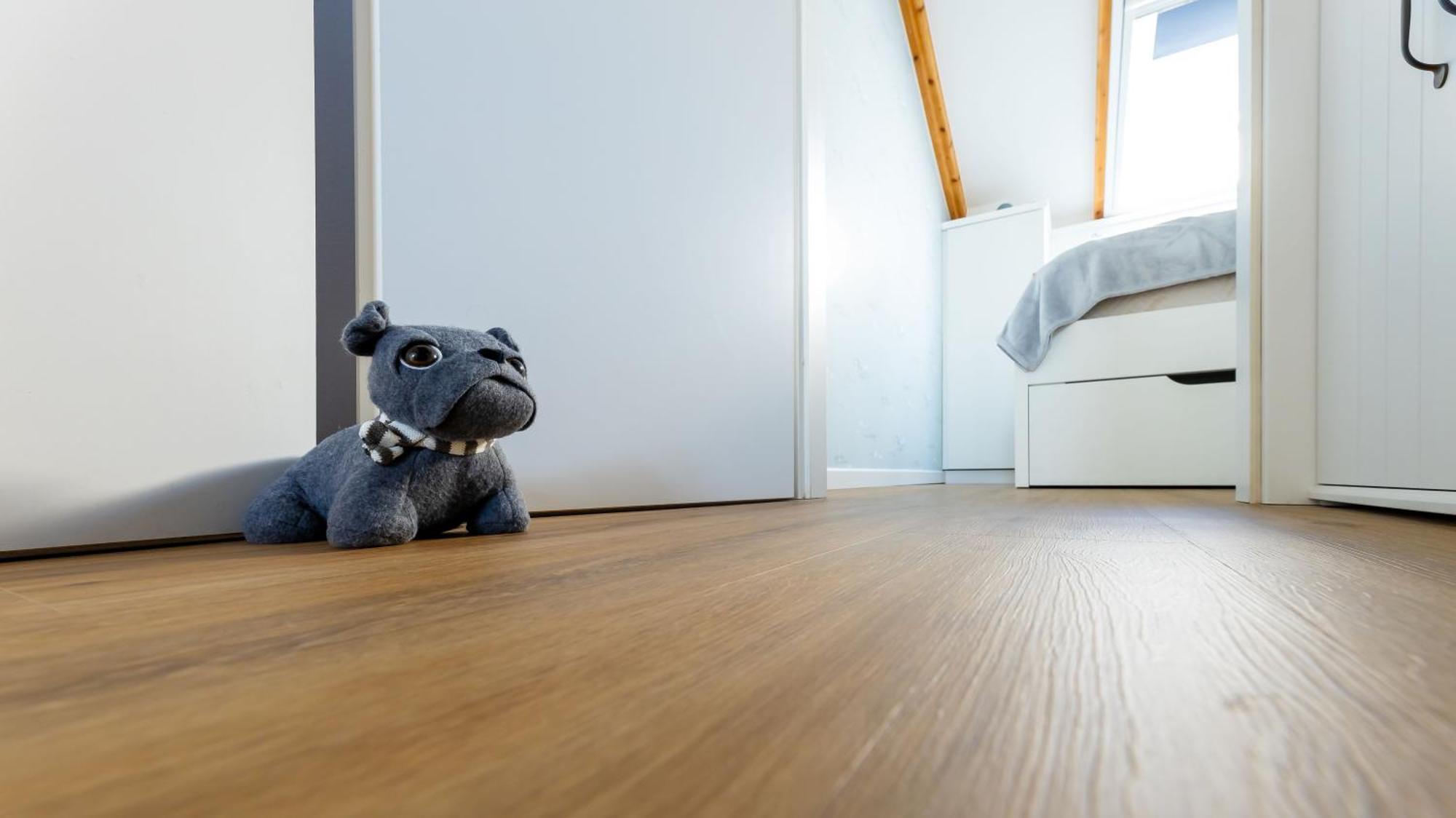 Haus Seeblick Mit 9 Wohnungen Alt Reddevitz Kültér fotó