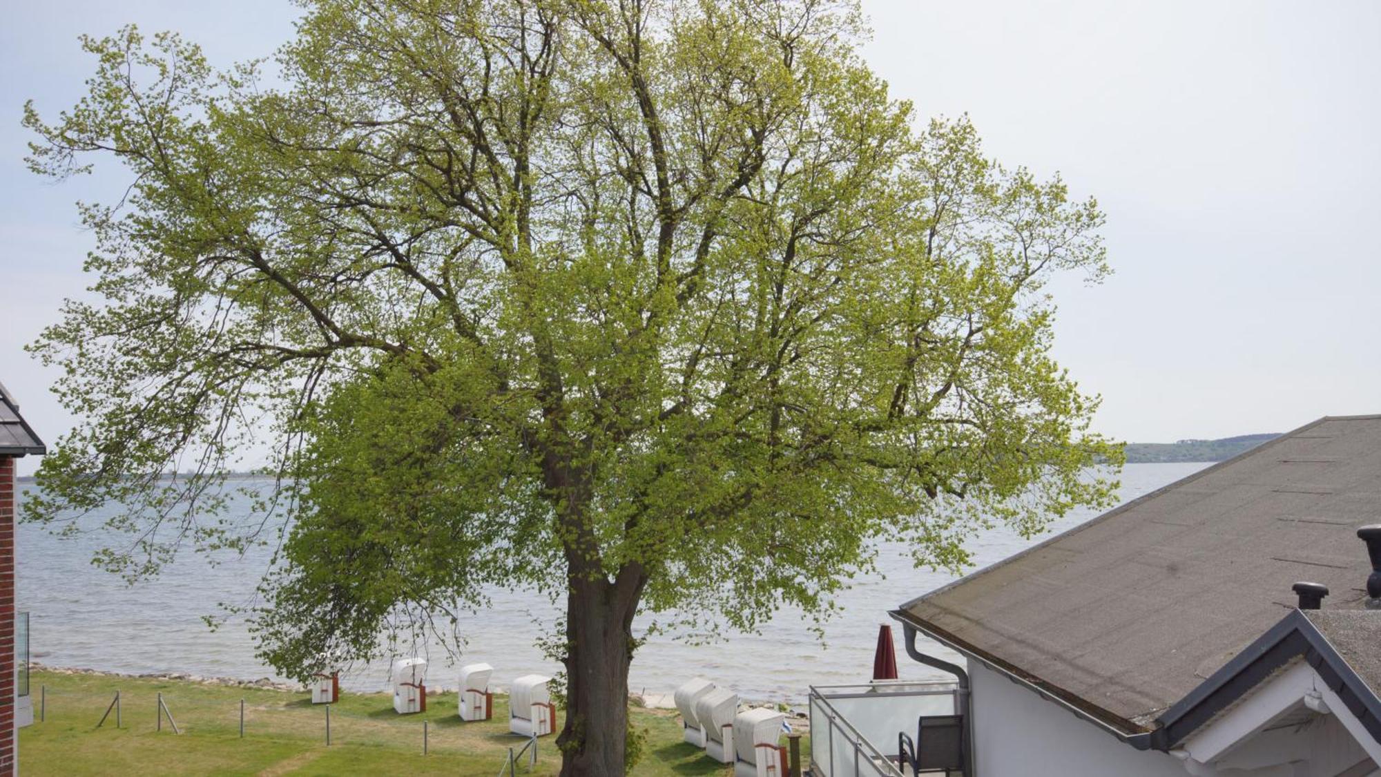 Haus Seeblick Mit 9 Wohnungen Alt Reddevitz Kültér fotó